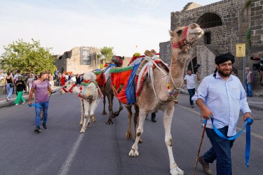 Dismek, “12. Diyarbakır Karpuz Festivali